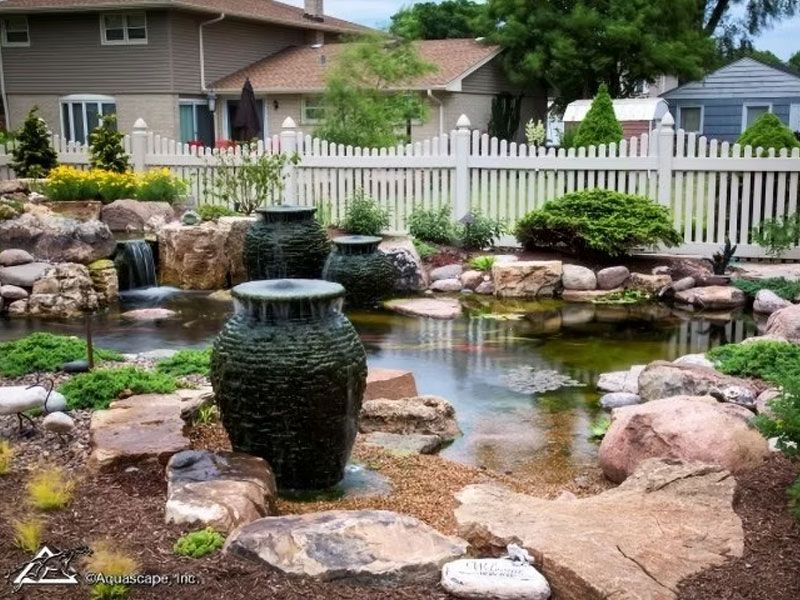 Pond Scapes