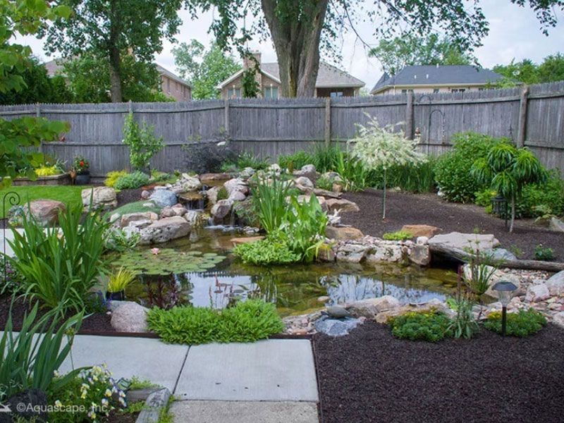 Pond Scapes