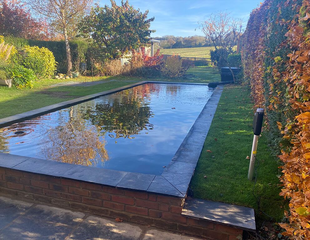 Swim Ponds