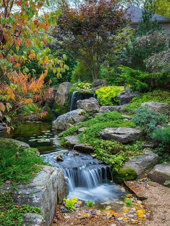Stepped waterfall running through autumn planting